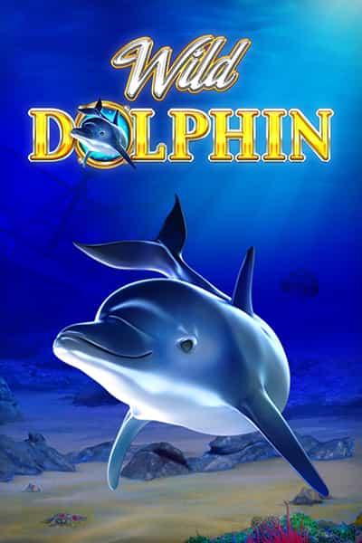 Wild Dolphin Jackpot